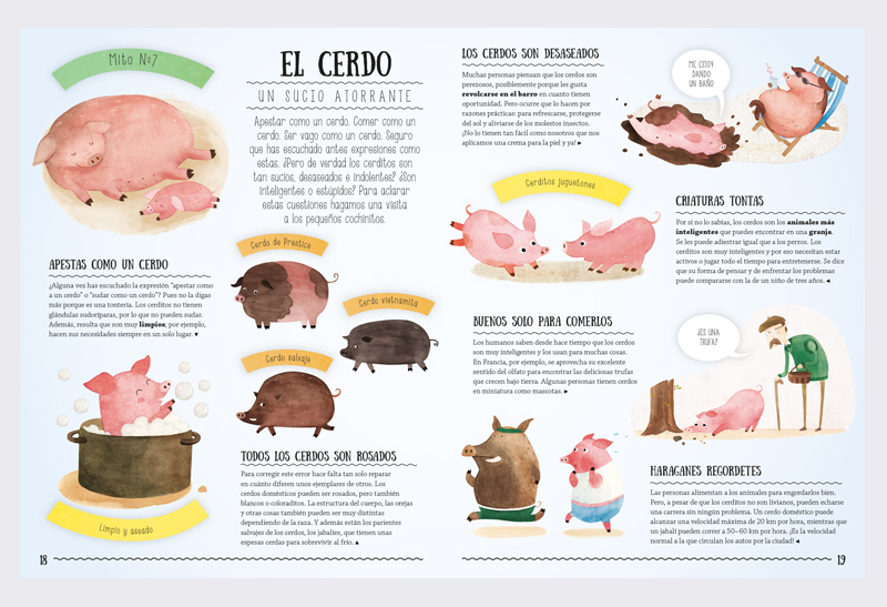 ES_Myths_and_Stereotypes_04
